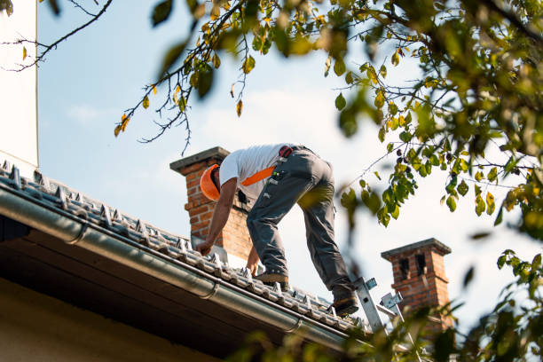 Tile Roofing Contractor in Chrisman, IL
