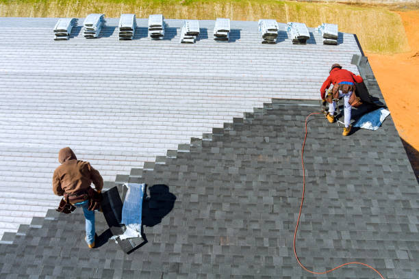 Best Roof Gutter Cleaning  in Chrisman, IL