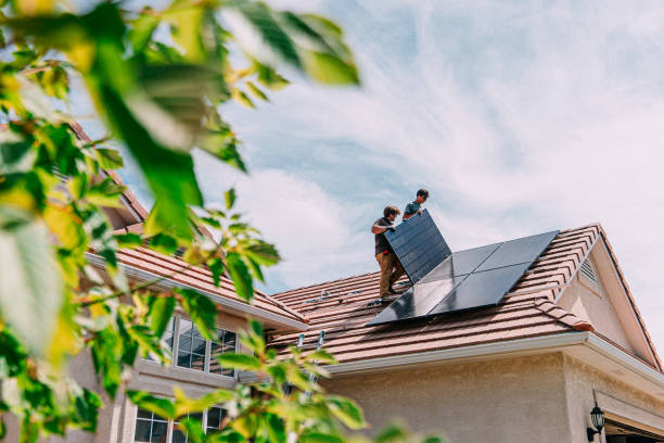 Best Flat Roof Repair Services  in Chrisman, IL