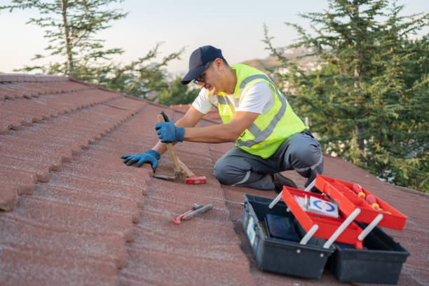 Best Roof Repair Services  in Chrisman, IL