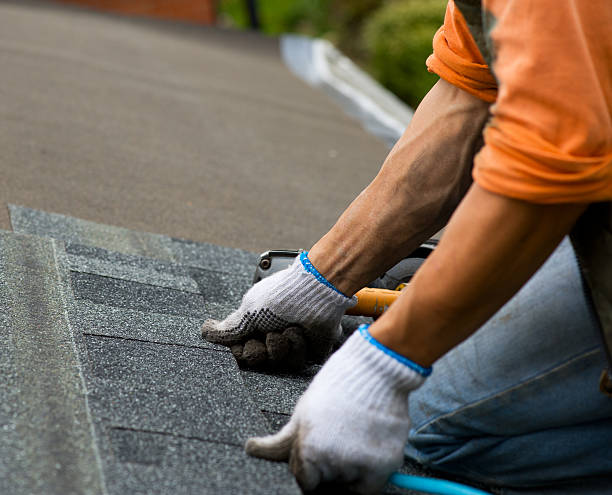 Best Roof Replacement Cost  in Chrisman, IL