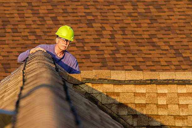 Best Metal Roofing Contractor  in Chrisman, IL