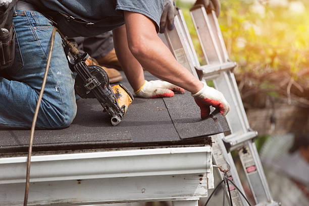 Best Local Roofing Companies  in Chrisman, IL