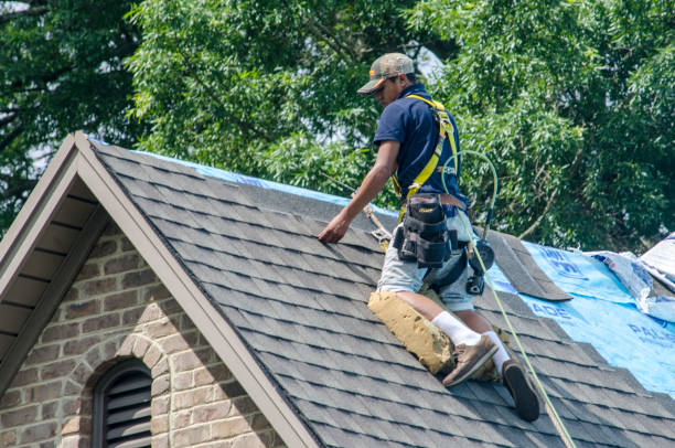 Best Roof Repair Services  in Chrisman, IL